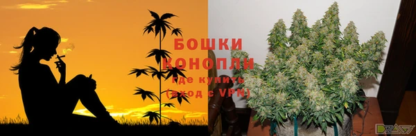 PSILOCYBIN Алзамай