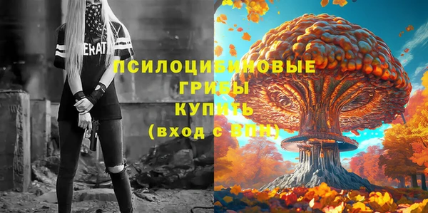 PSILOCYBIN Алзамай