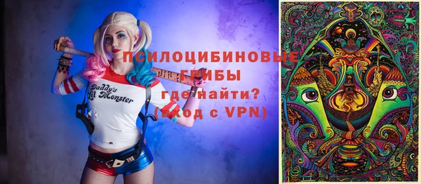 мет Карпинск