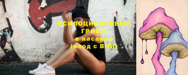 стаф Алексеевка