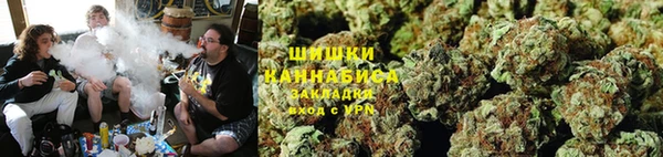PSILOCYBIN Алзамай