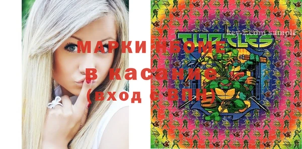 PSILOCYBIN Алзамай