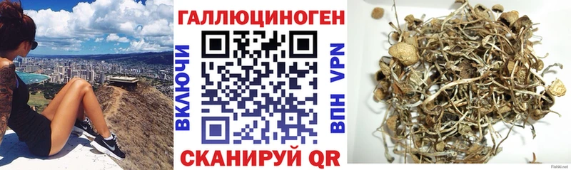 Псилоцибиновые грибы мицелий  Кола 